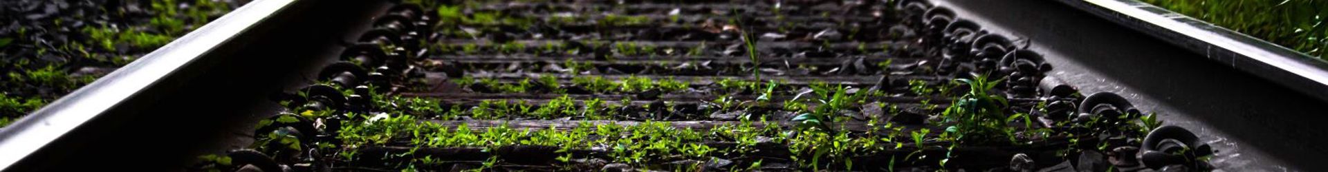 West Springfield MA Shutterstock 1827878393 Cropped